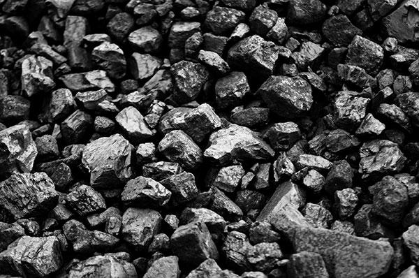 uhli image uhli